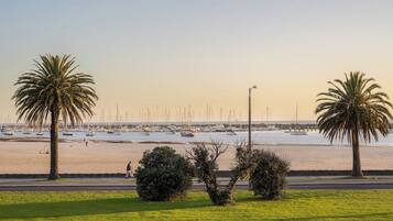 A beach with palm trees, a road, and boats in the background.