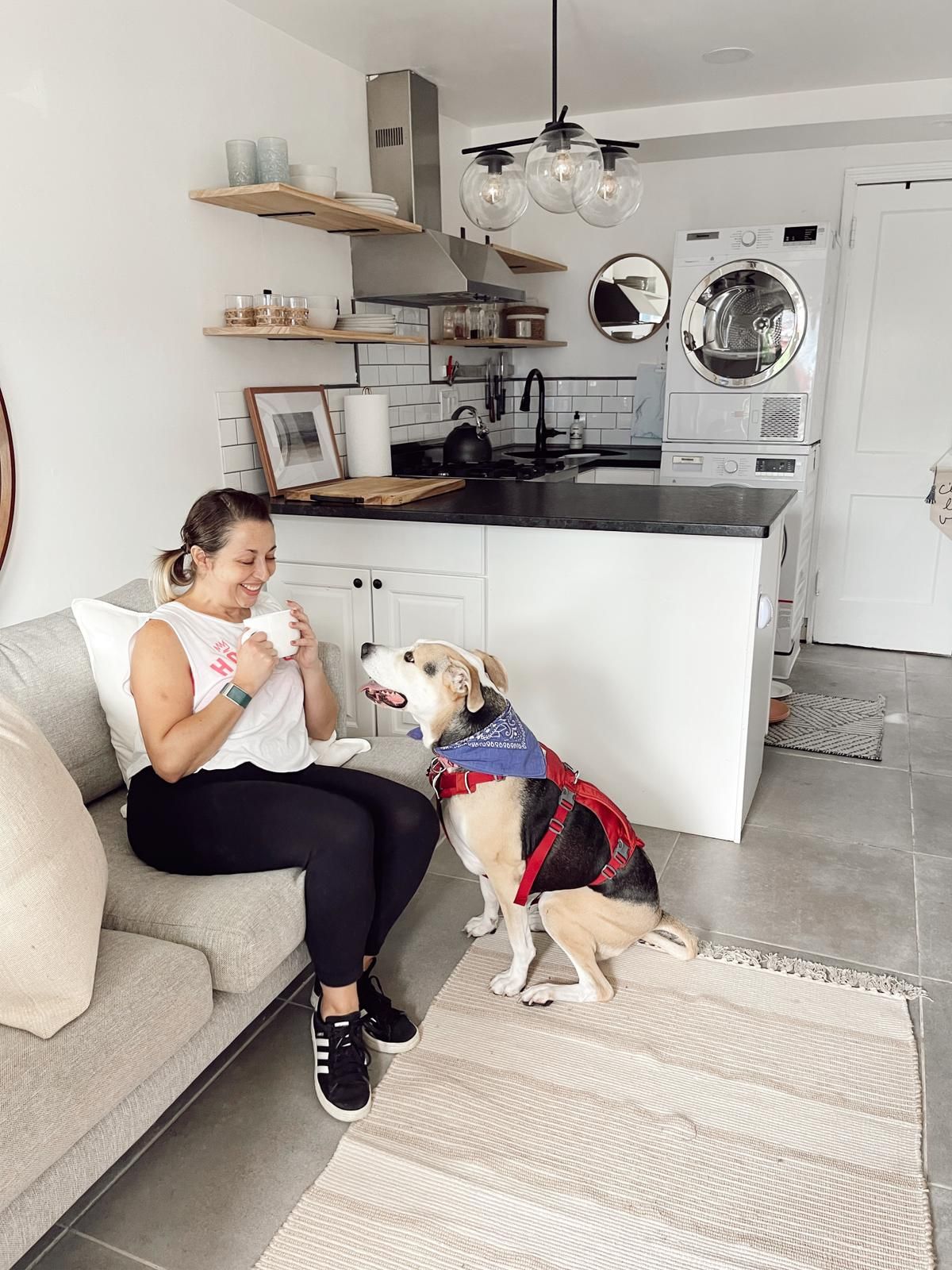 A person sitting on a sofa with a dog wearing a harness, a kitchen area with a washing machine, and a hanging light fixture.