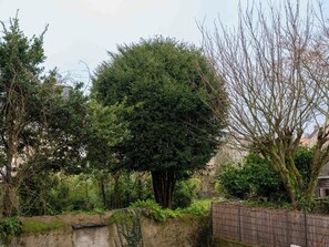 Een tuin met verschillende bomen en een bakstenen muur.