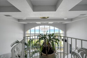 Ein geräumiger Balkon mit einer großen Topfpflanze, Blick aufs Meer und moderner Architektur.