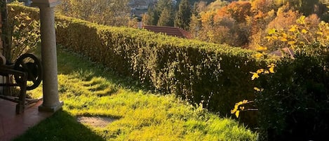 A vineyard with a stone structure, a view of a valley, and distant mountains.