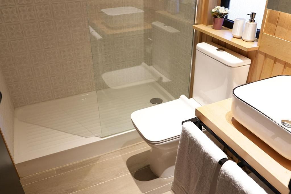 A modern bathroom with a glass shower enclosure, a white toilet, and a wooden vanity with a sink.