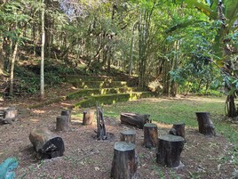 Un espacio natural al aire libre con un sendero de piedra y troncos de madera.