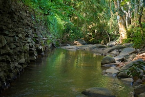 Un cuerpo de agua natural rodeado de rocas y follaje denso.