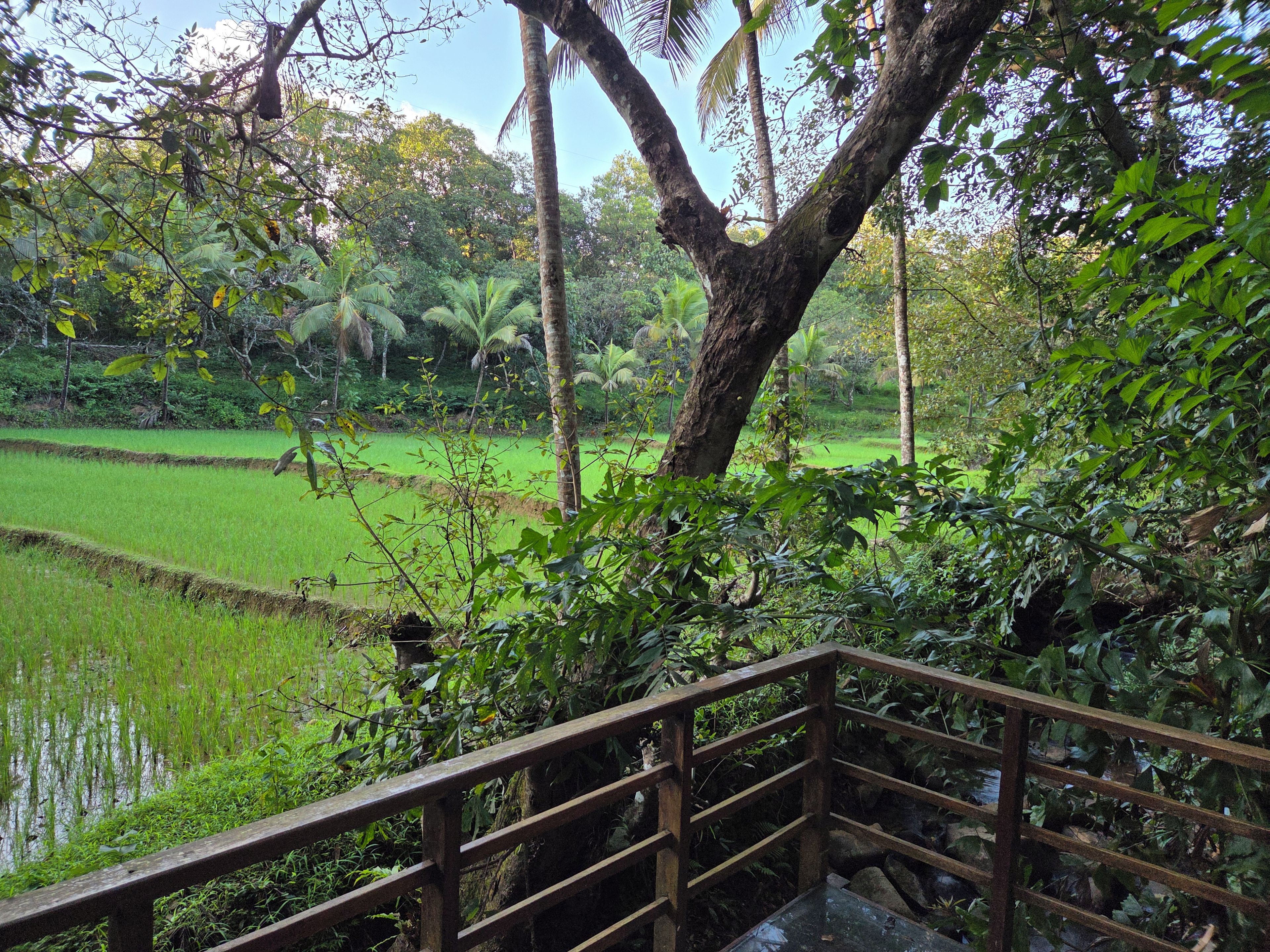A wooden bridge leading over a water body with a lush green landscape and trees in the background.