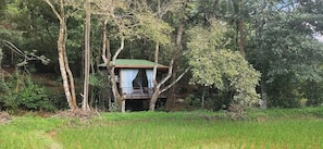 A treehouse with a wooden deck and a red roof, surrounded by dense forest. - Captain's Camp (Sirsi)
