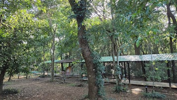 A forested area with a covered pavilion structure.