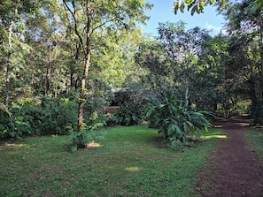 A natural outdoor area with a dirt path, surrounded by dense greenery and trees. - Captain's Camp (Sirsi)