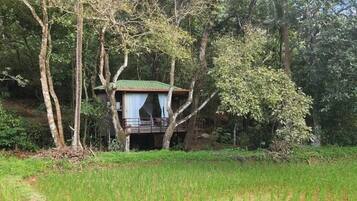 Una casa en los árboles con techo rojo y cortinas blancas, rodeada de un bosque frondoso.
