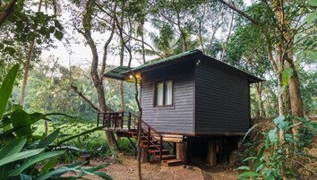Una cabaña de madera con una escalera que conduce a una terraza, rodeada de un bosque frondoso.