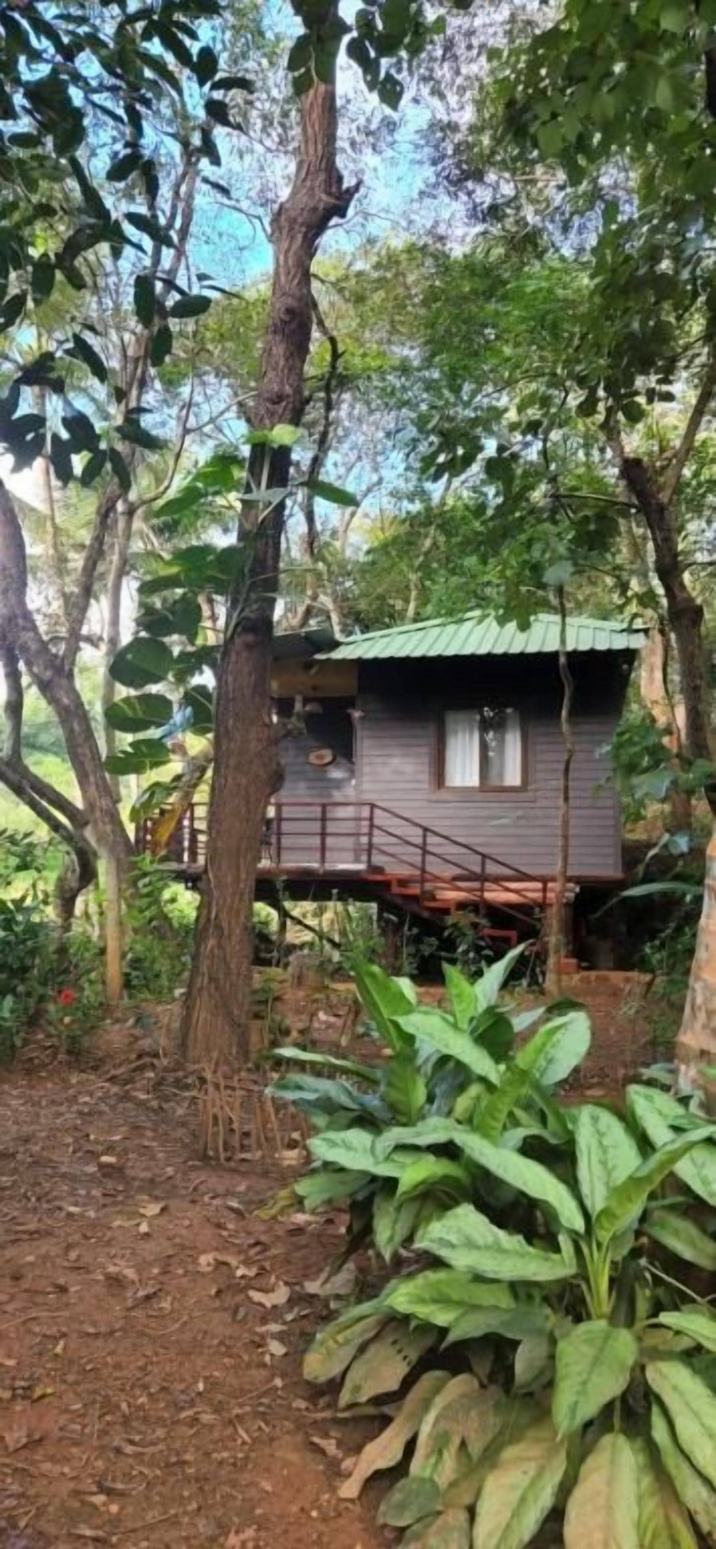 A treehouse with a metal staircase and a small porch.