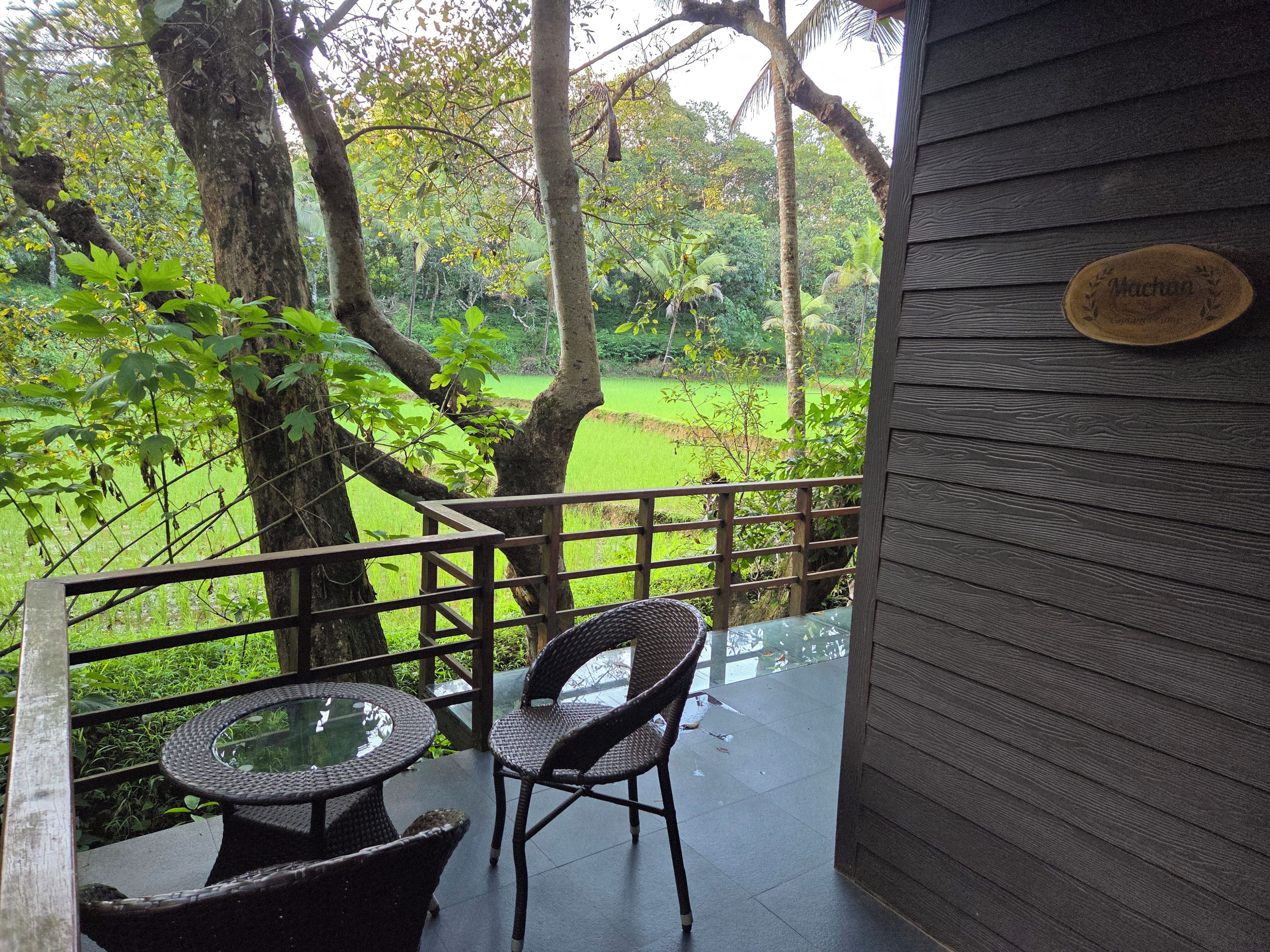 Une terrasse en bois avec une table et des chaises, offrant une vue sur un paysage verdoyant et luxuriant.