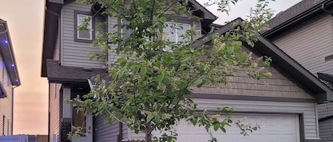 Una casa con garaje, entrada para coches y un pequeño árbol en el jardín delantero.