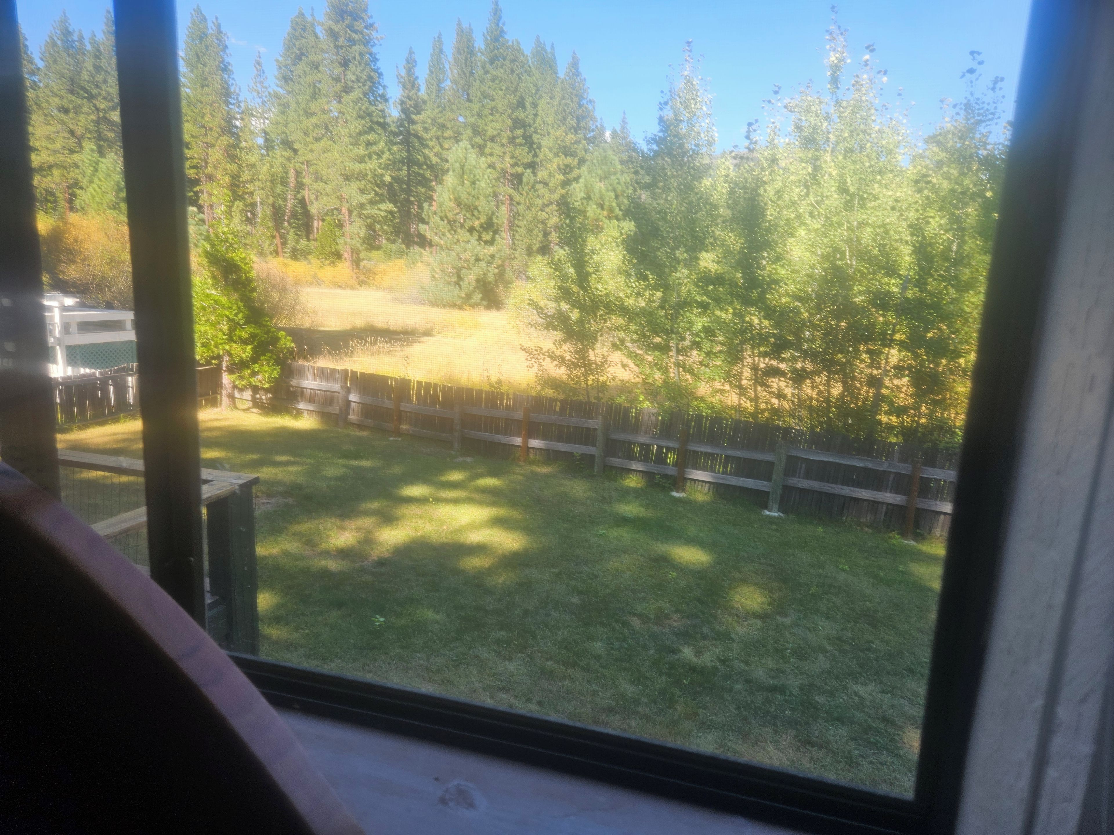 A view of a fenced yard with trees and a grassy area.