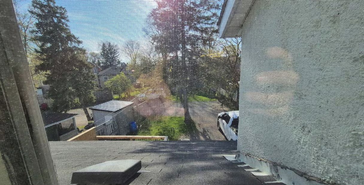 View from property