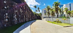 Uma passagem pavimentada conduz a um edifício com fachada moderna, cercado por palmeiras e um céu claro.