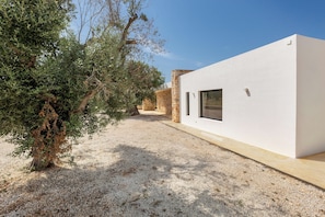A modern building with a white exterior, a gravel driveway, and olive trees. - Villa Marevento by Perle di Puglia (Carovigno)