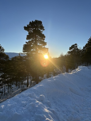 A snowy landscape with a clear sky and a sun shining through trees.