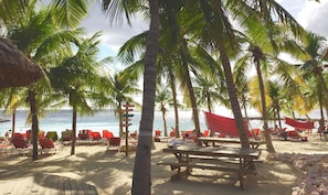A beach with palm trees, red lounge chairs, and wooden picnic tables. - Penthouse Villa steps from Blue Bay Beach (Sint Michiel)