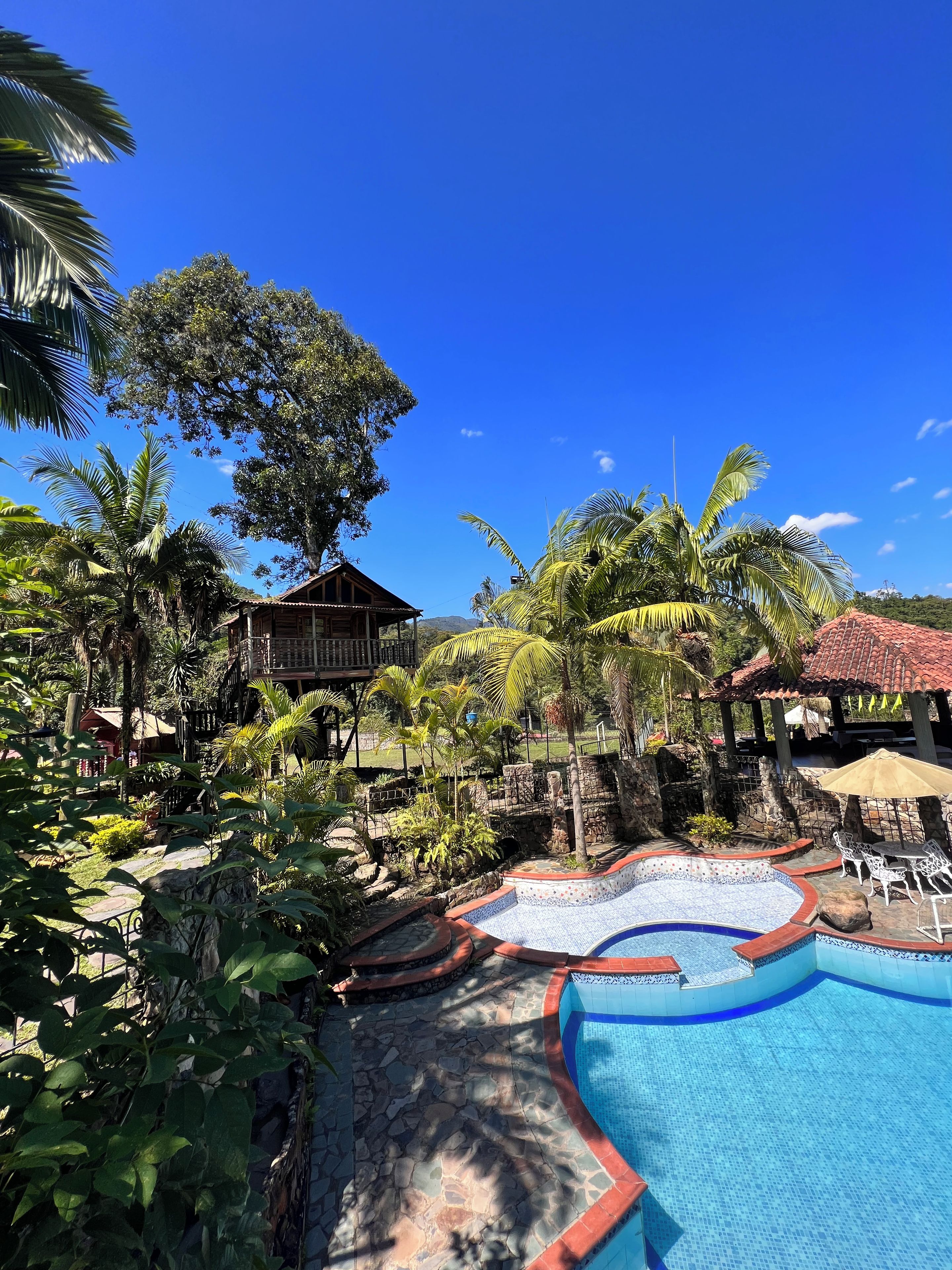 Una piscina con borde de baldosas, rodeada de vegetación tropical y un edificio de madera.