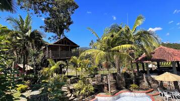 Una piscina con borde de baldosas, rodeada de vegetación tropical y un edificio de madera.