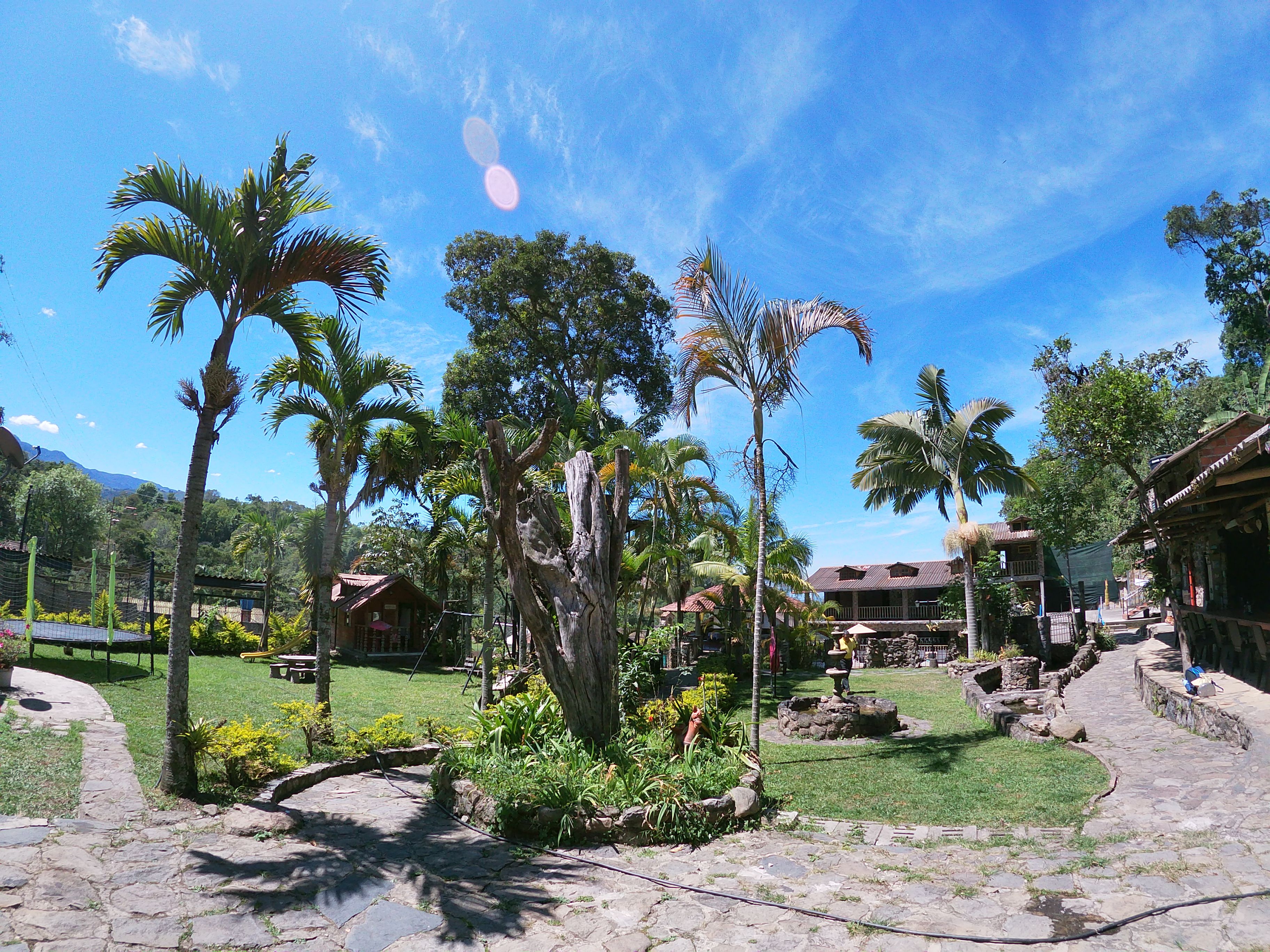 A tropical garden with palm trees, a stone pathway, and a building with a red roof.