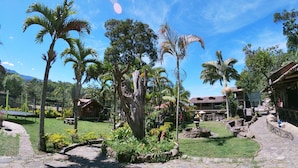 A tropical garden with palm trees, a stone pathway, and a building with a red roof. - La Casa del Arbol (San Francisco)