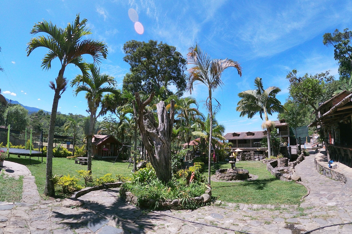 A tropical garden with palm trees, a stone pathway, and a building with a red roof.