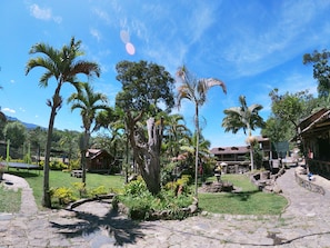 A tropical garden with palm trees, a stone pathway, and a building with a red roof. - La Casa del Arbol (San Francisco)