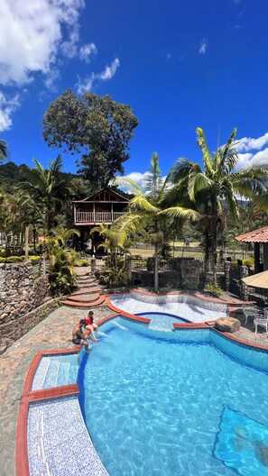 A swimming pool with a tiled edge, surrounded by palm trees and a stone wall. - La Casa del Arbol (San Francisco)