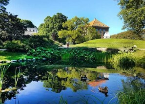 Ein Teich mit Enten, umgeben von viel Grün und einem Gebäude im Hintergrund.