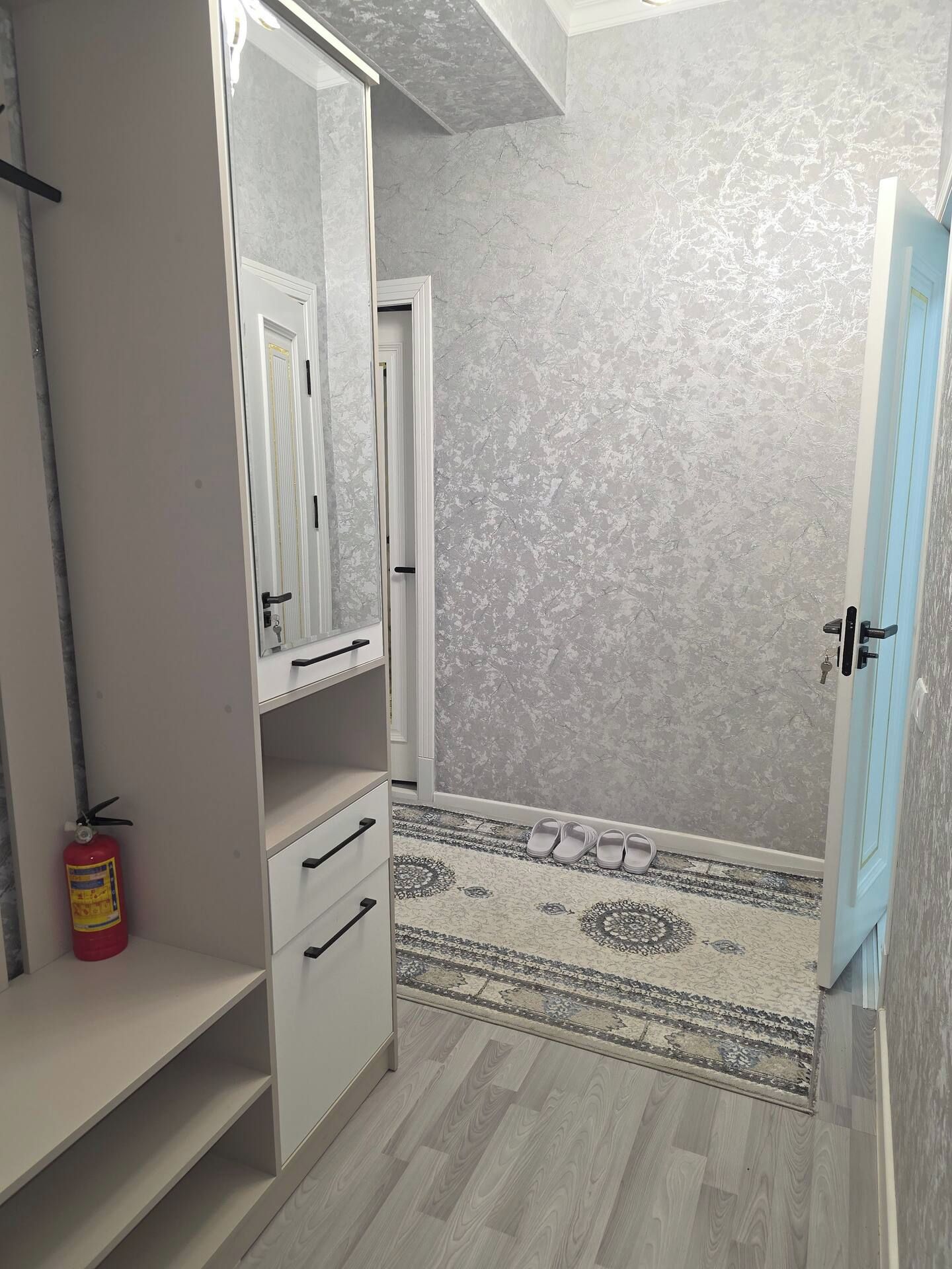 Une pièce comprenant une armoire, un miroir, une porte, un tapis à motifs et un extincteur.