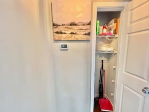 A hallway with a painting on the wall, a thermostat, and a storage area with cleaning supplies.