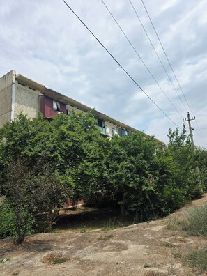 Edifici amb sòl de terra davant, envoltat de vegetació verda abundant.