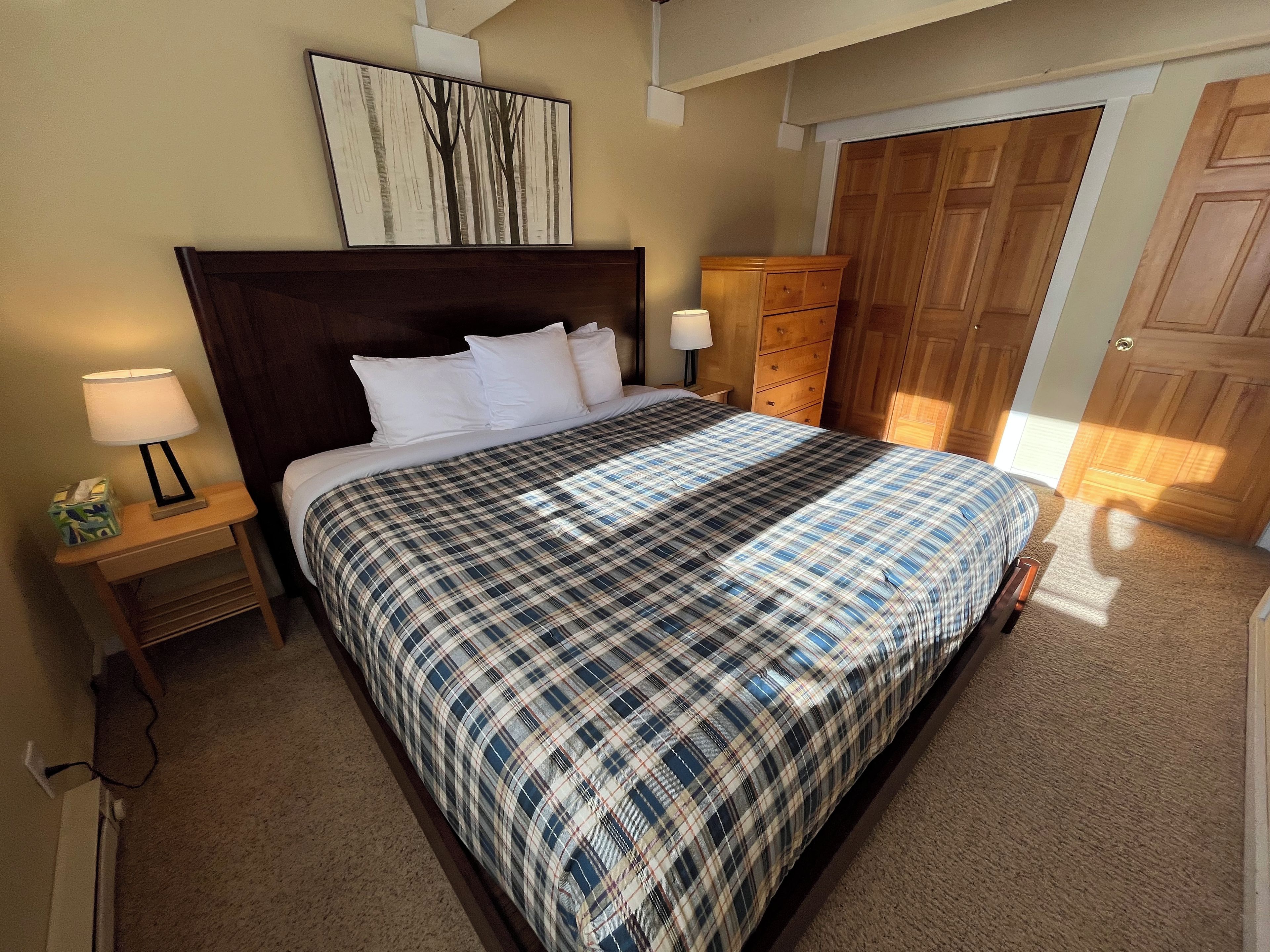 Une chambre à coucher avec un grand lit, une tête de lit en bois, une table de chevet avec une lampe, une commode en bois et une porte.