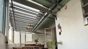 Un espace extérieur abrité, équipé d’une table et de chaises, d’une plante en pot et d’une poubelle.