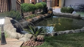 Un área exterior bien cuidada con un pequeño estanque, un sendero y un edificio con varias ventanas y puertas.