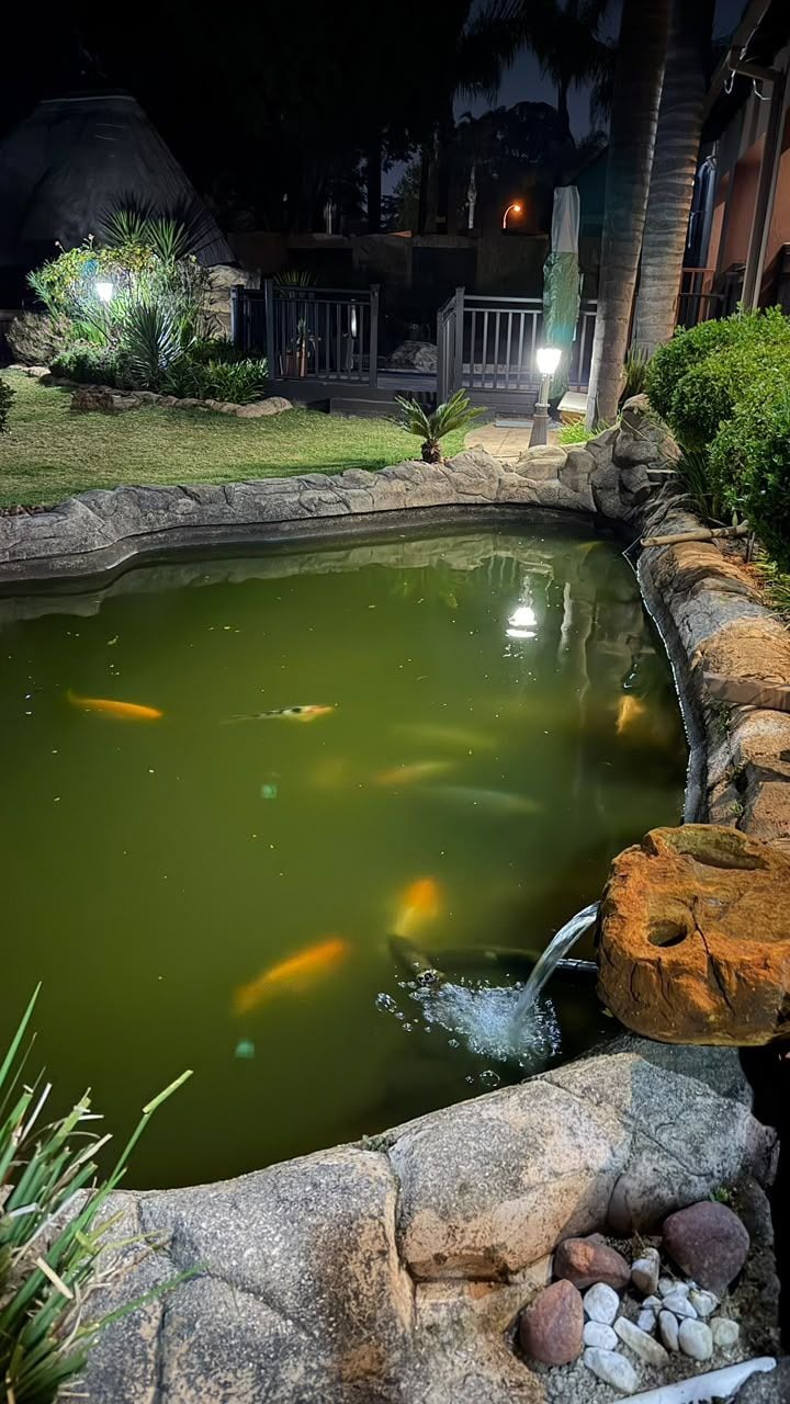 Un estanque nocturno con peces koi, rodeado de rocas y plantas, y una pequeña cascada.