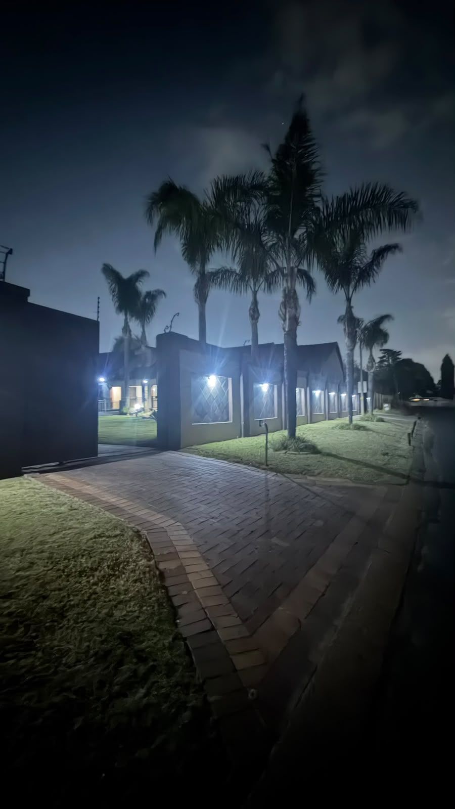 Vista nocturna de un camino bordeado de palmeras que lleva a un edificio con ventanas iluminadas.