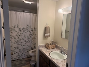 Une salle de bain équipée de toilettes, d’un lavabo et d’un rideau de douche.