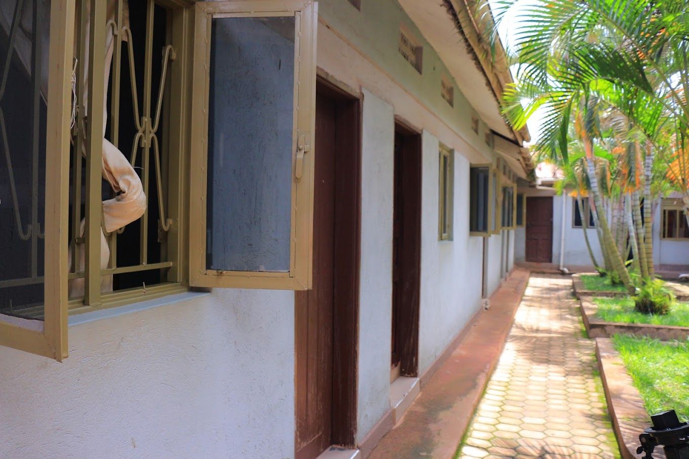 Un pasillo con puertas que dan a habitaciones individuales, un camino de baldosas y un pequeño jardín con palmeras.