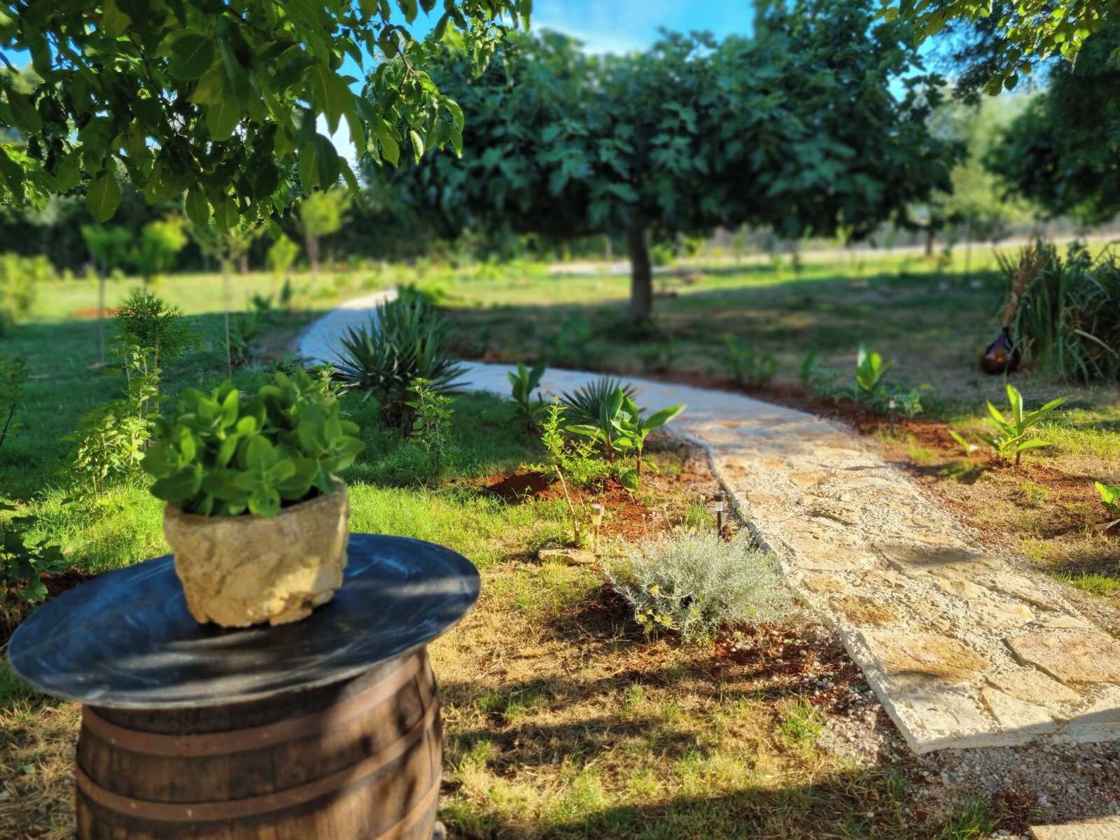 Ein Gartenweg schlängelt sich durch eine angelegte Grünfläche mit verschiedenen Pflanzen und einem rustikalen Fass.