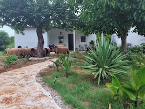 A pathway leading to a building surrounded by greenery and a group of sheep.