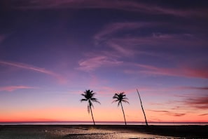 Ein Strandbild mit zwei Palmen und einem Sonnenuntergang.