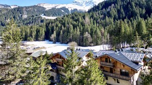 Un chalet de montagne doté de plusieurs cabanes en bois, entouré d’une forêt dense et d’une vallée enneigée.