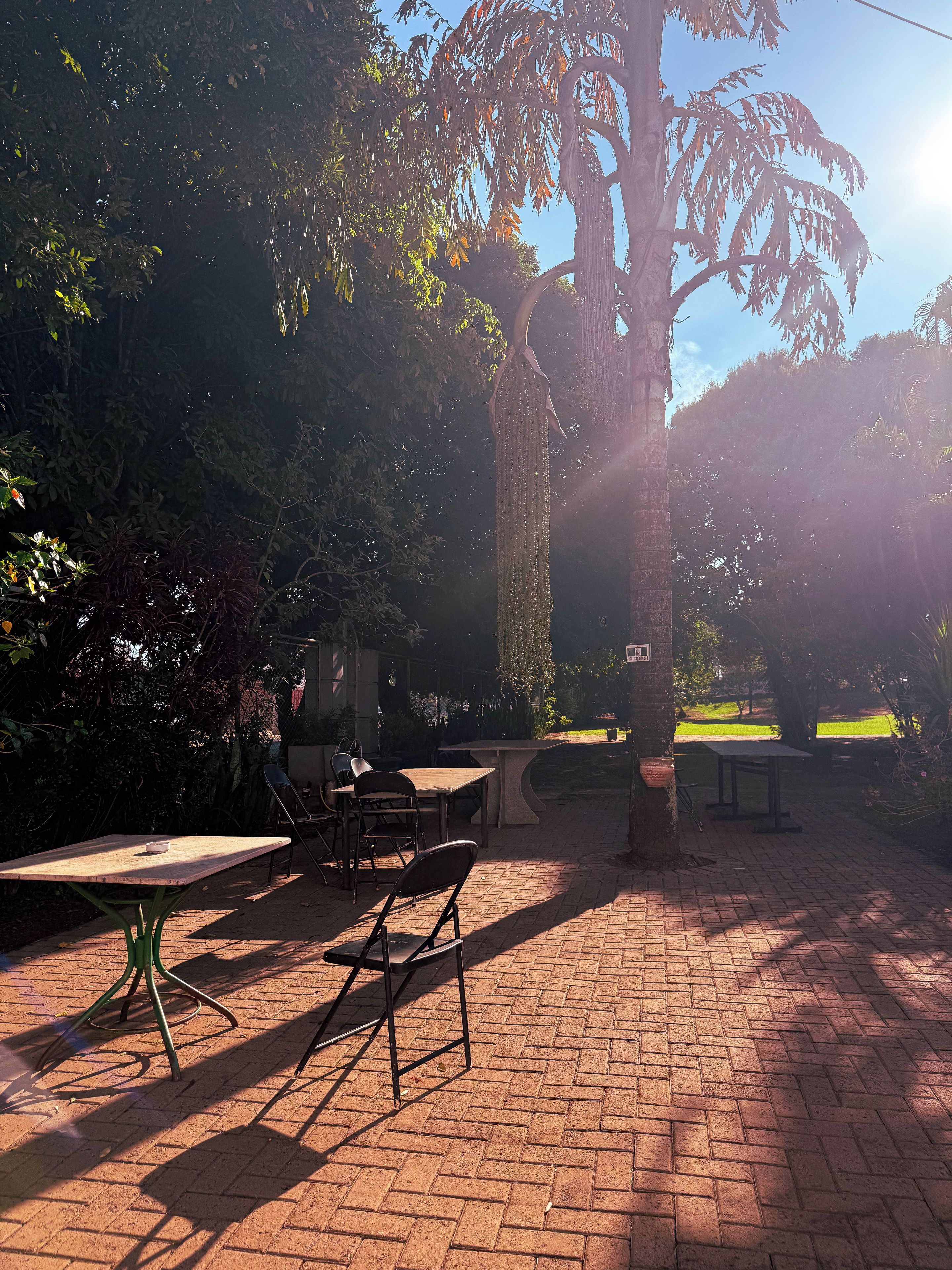 An outdoor seating area with tables and chairs, surrounded by trees and a brick pathway.