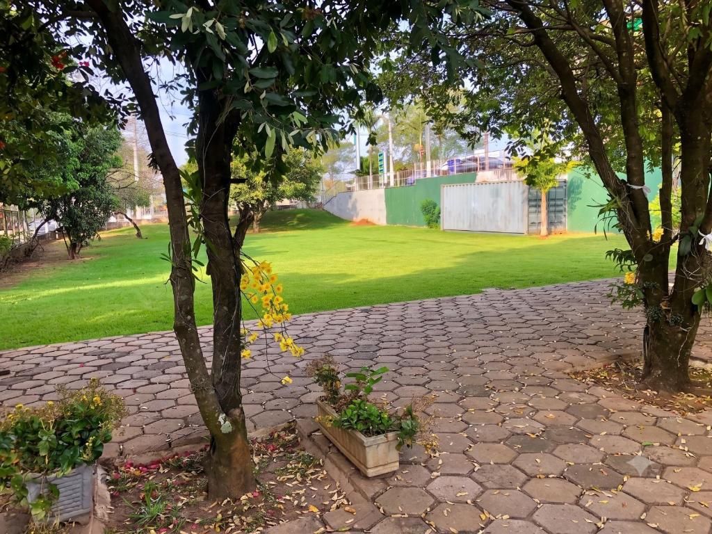 A paved pathway leading to a green lawn area with trees and potted plants.