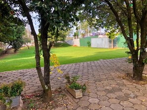 A paved pathway leading to a green lawn area with trees and potted plants.