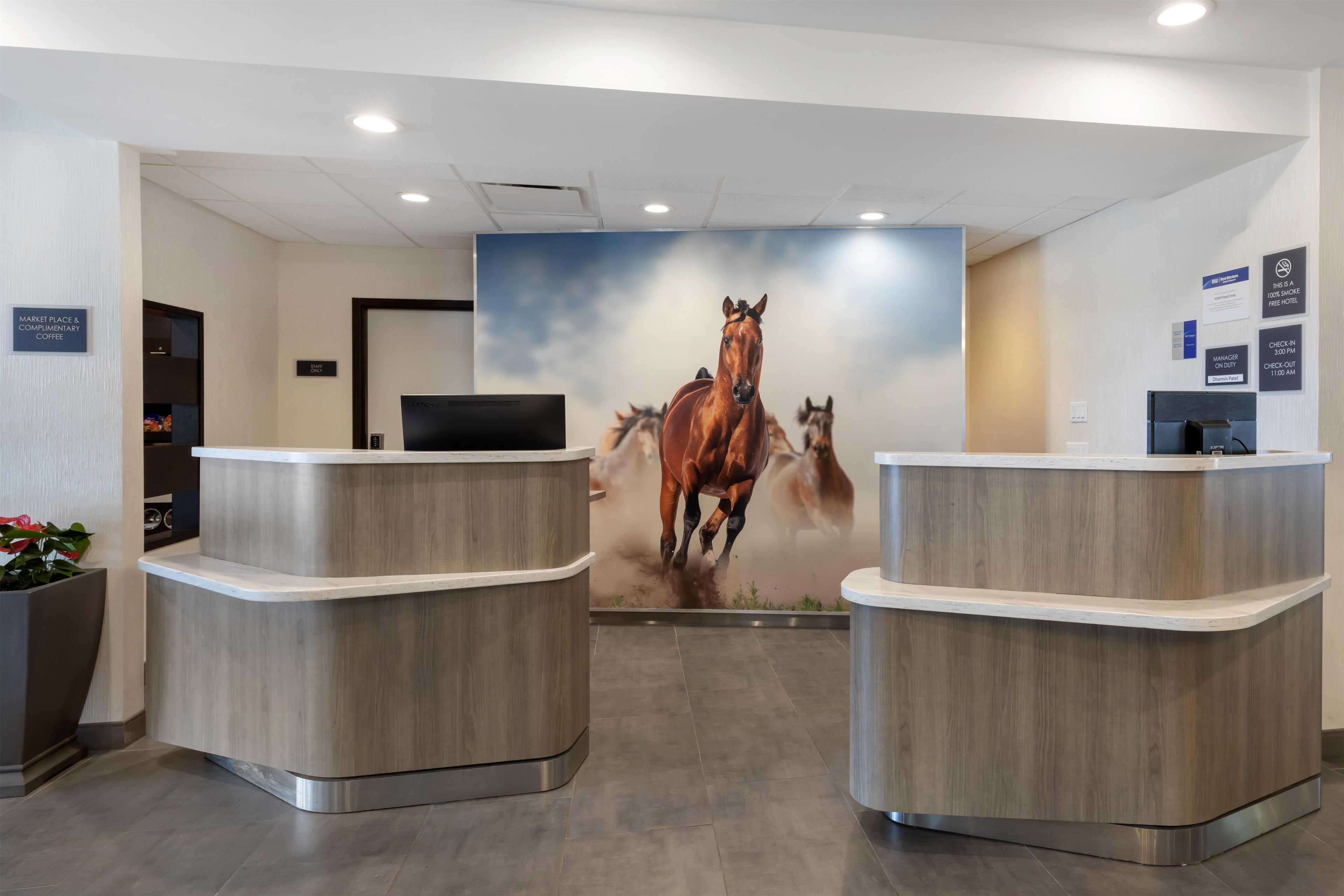 Una zona de recepción con dos mostradores de madera, un televisor montado y un mural en la pared con caballos.