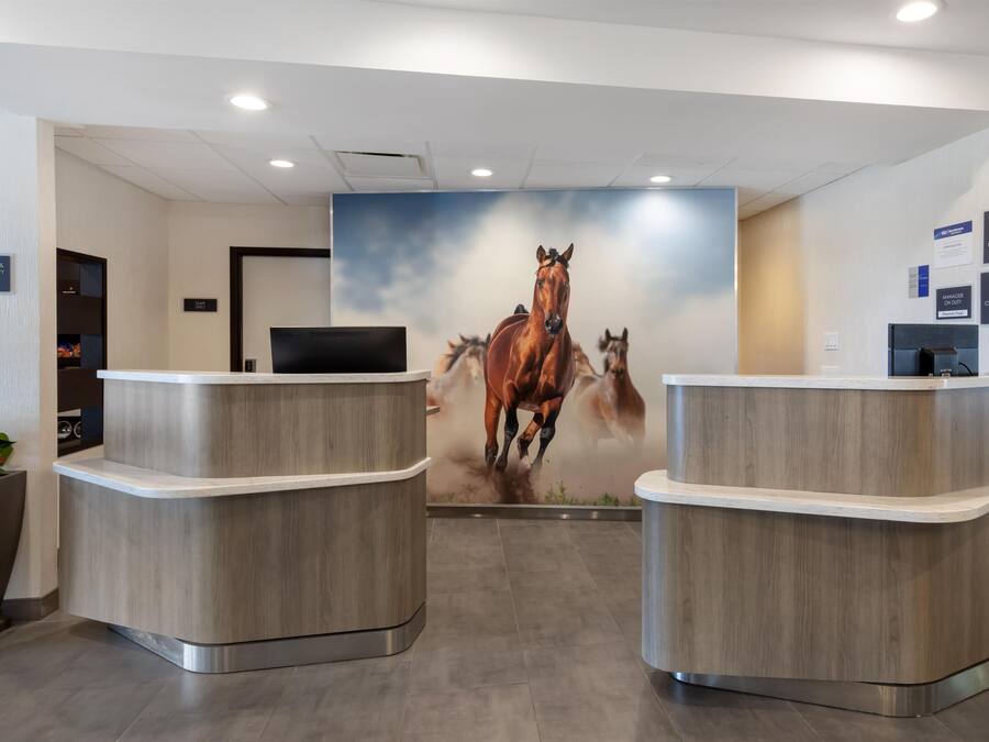 Una zona de recepción con dos mostradores de madera, un televisor montado y un mural en la pared con caballos.